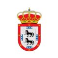 Valoración sobre la formación estratégica: "Gobernanza municipal: protocolo, comunicación e imagen institucional".
